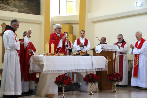 Sv. Vid - slavlje Dana župe 21.6.2026. s biskupom Željkom