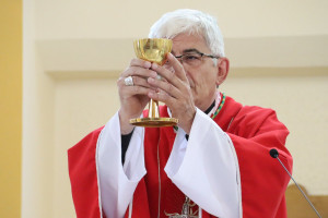 Sv. Vid - slavlje Dana župe 21.6.2026. s biskupom Željkom