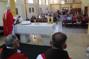 Sv. Vid - slavlje Dana župe 21.6.2026. s biskupom Željkom