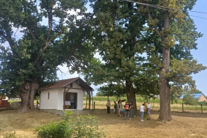 Proslava Sv. Ilije u Kuljanima